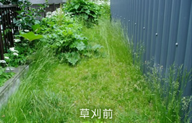 草刈前