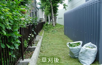 草刈後